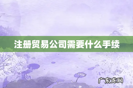 注册贸易公司需要什么手续