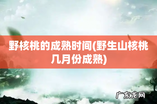 野生山核桃几月份成熟 野核桃的成熟时间