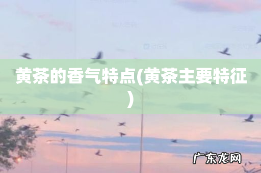 黄茶主要特征 黄茶的香气特点