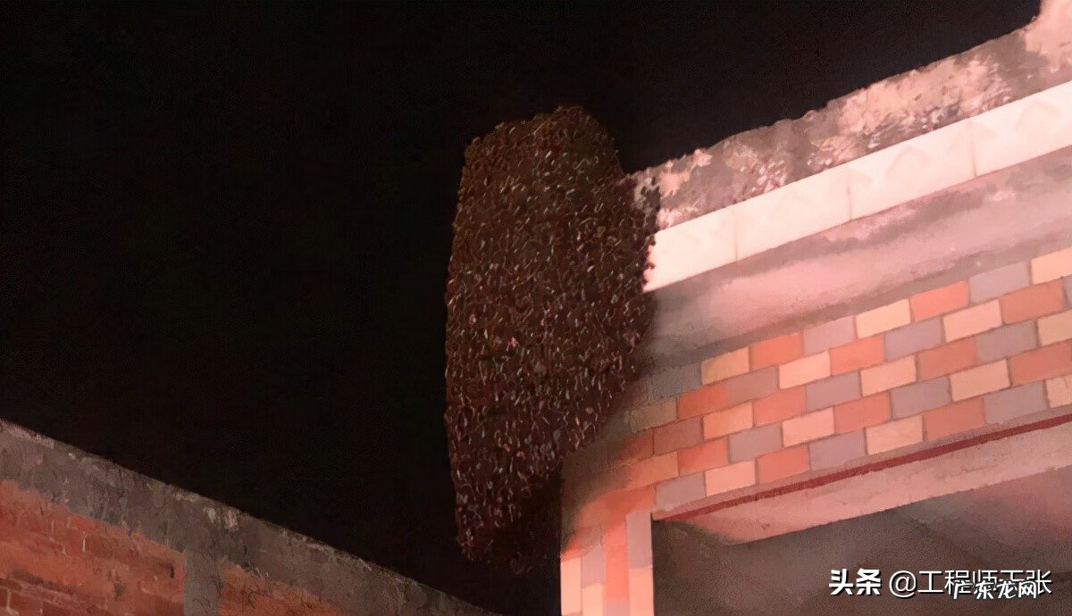 黄蜂建窝与风水的关系 黄蜂地村风水