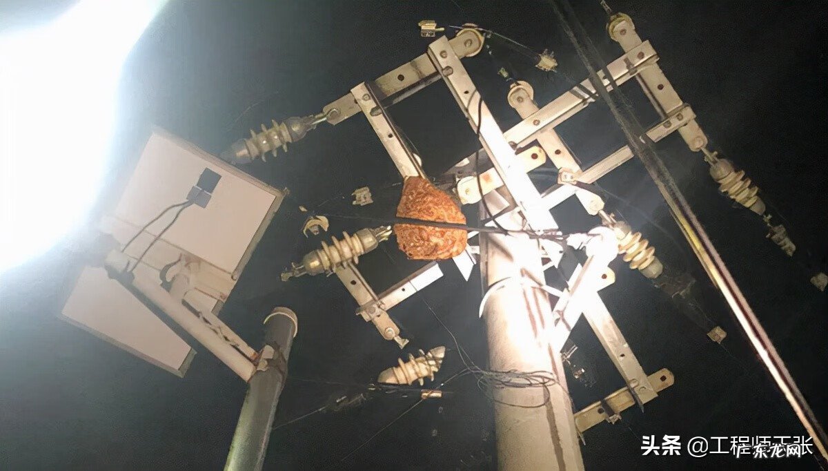 黄蜂建窝与风水的关系 黄蜂地村风水