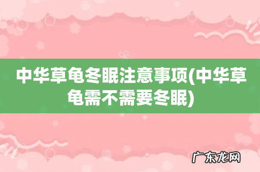 中华草龟需不需要冬眠 中华草龟冬眠注意事项