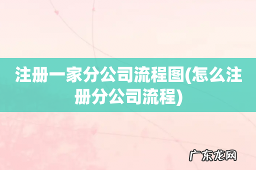 怎么注册分公司流程 注册一家分公司流程图