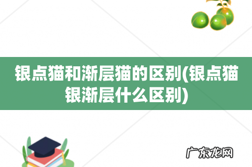 银点猫银渐层什么区别 银点猫和渐层猫的区别