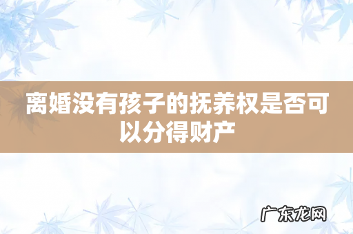 离婚没有孩子的抚养权是否可以分得财产