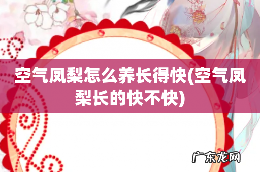 空气凤梨长的快不快 空气凤梨怎么养长得快