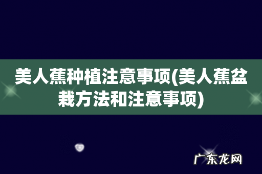美人蕉盆栽方法和注意事项 美人蕉种植注意事项
