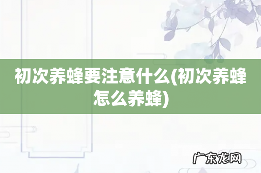 初次养蜂怎么养蜂 初次养蜂要注意什么