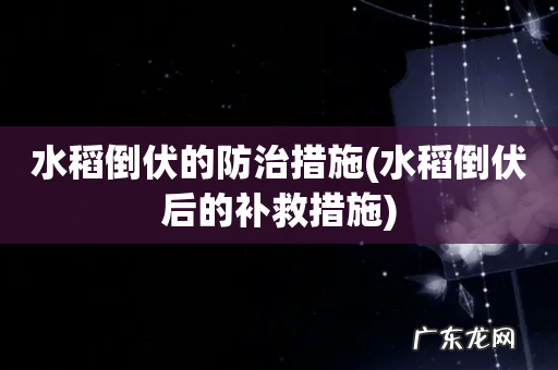 水稻倒伏后的补救措施 水稻倒伏的防治措施