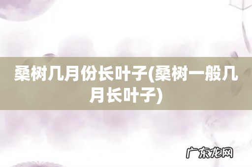 桑树一般几月长叶子 桑树几月份长叶子