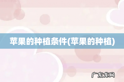苹果的种植 苹果的种植条件