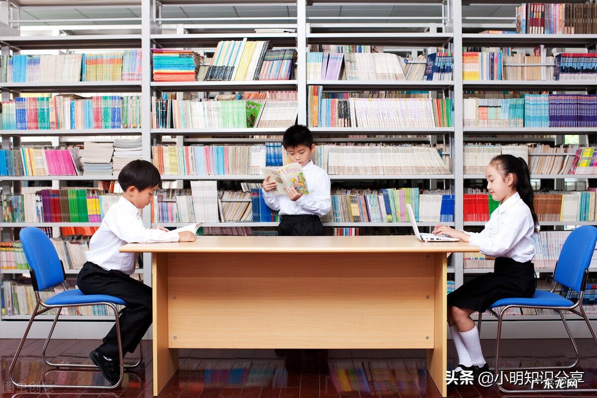 最安全的宠物 宠物安全教案