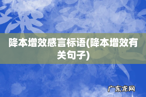 降本增效有关句子 降本增效感言标语