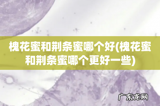 槐花蜜和荆条蜜哪个更好一些 槐花蜜和荆条蜜哪个好