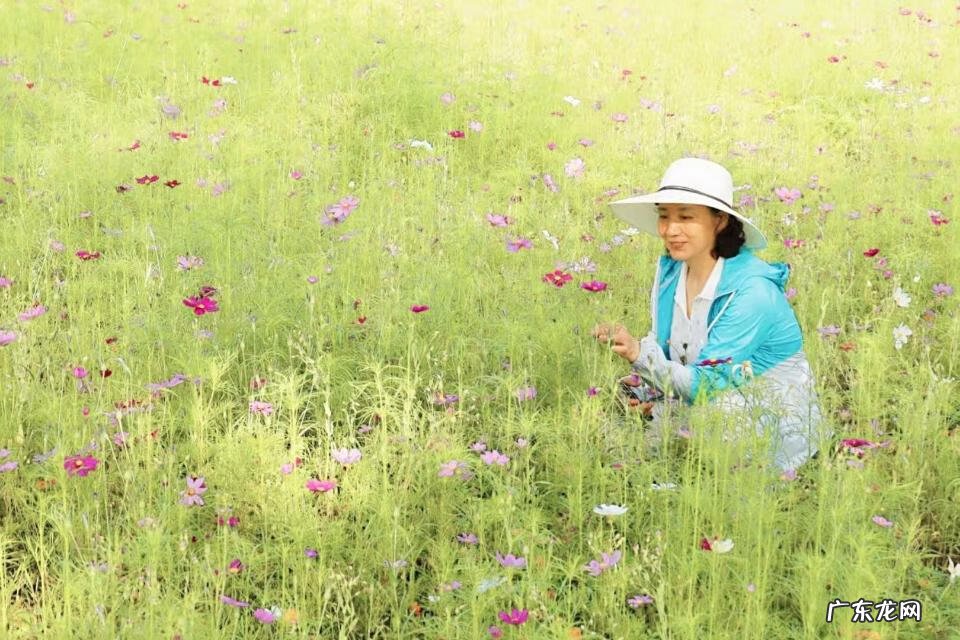 济宁会计从业资格 济宁市会计信息