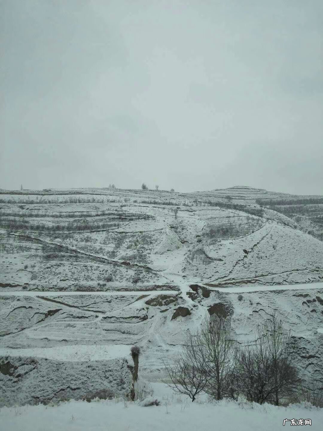 一个幸福的童年 小明的幸福童年