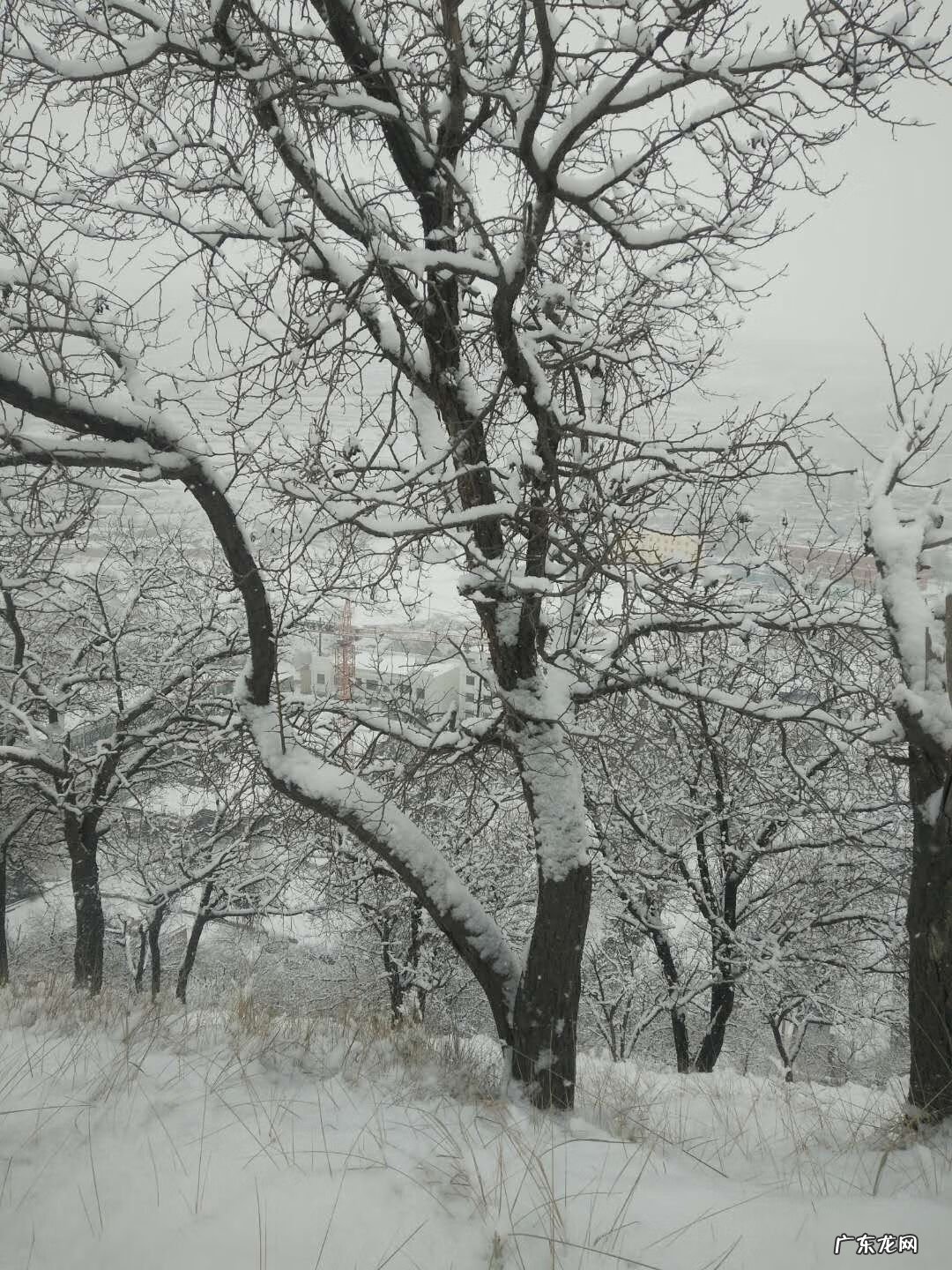 一个幸福的童年 小明的幸福童年