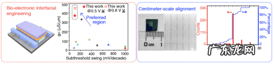 事件报道怎么写 报道怎么写模板