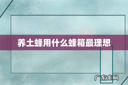 养土蜂用什么蜂箱最理想
