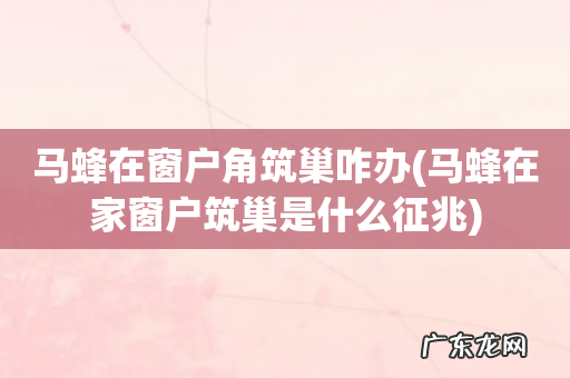 马蜂在家窗户筑巢是什么征兆 马蜂在窗户角筑巢咋办
