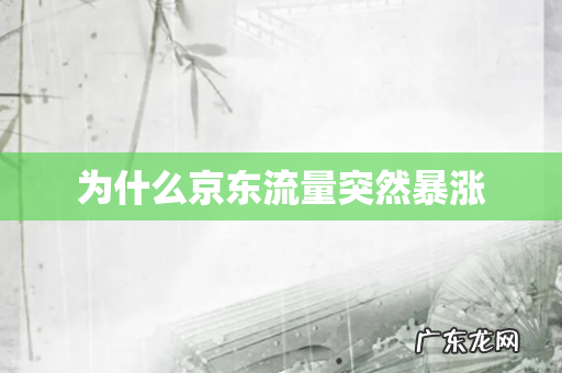 为什么京东流量突然暴涨