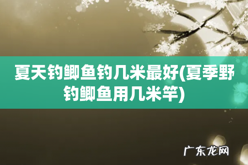 夏季野钓鲫鱼用几米竿 夏天钓鲫鱼钓几米最好