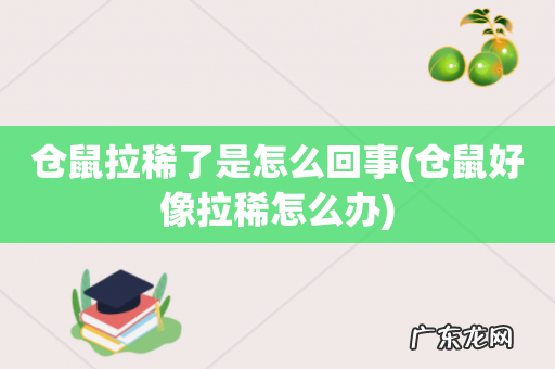 仓鼠好像拉稀怎么办 仓鼠拉稀了是怎么回事