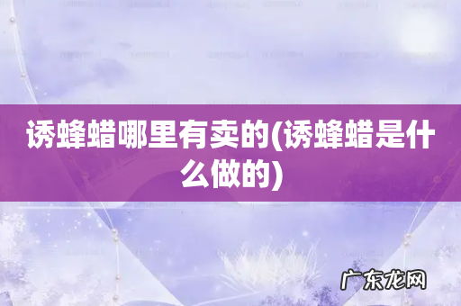 诱蜂蜡是什么做的 诱蜂蜡哪里有卖的