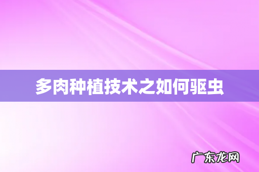 多肉种植技术之如何驱虫
