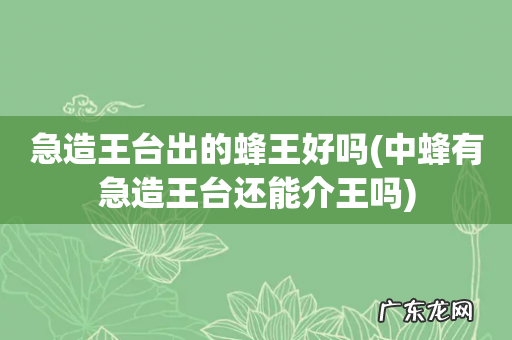 中蜂有急造王台还能介王吗 急造王台出的蜂王好吗