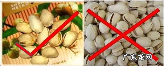 开心果的营养价值与功效 开心果果的营养价值及功效