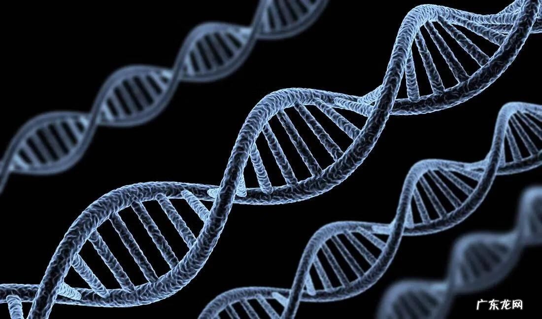 两性之间的交往 探讨两性问题