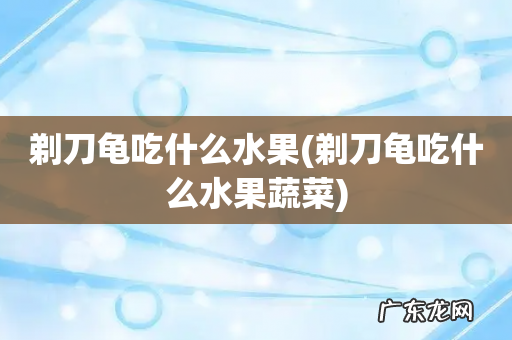 剃刀龟吃什么水果蔬菜 剃刀龟吃什么水果