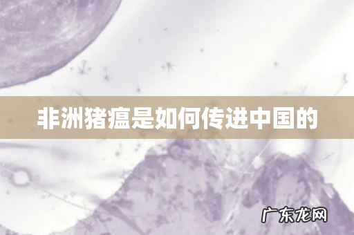 非洲猪瘟是如何传进中国的