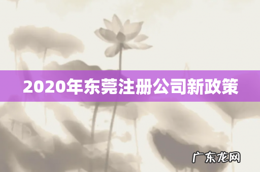 2020年东莞注册公司新政策