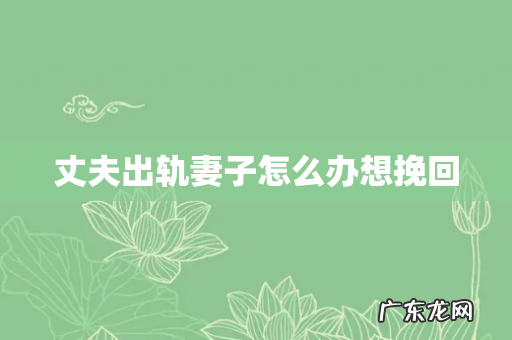 丈夫出轨妻子怎么办想挽回