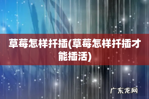 草莓怎样扦插才能插活 草莓怎样扦插