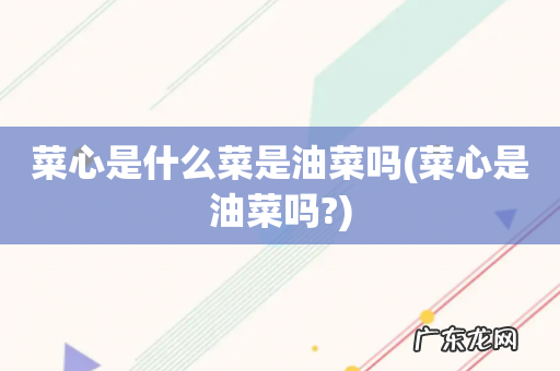 菜心是油菜吗? 菜心是什么菜是油菜吗