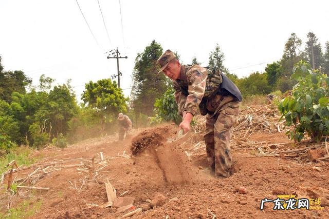 挖掩体 掩体图片