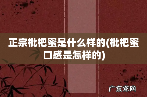 枇杷蜜口感是怎样的 正宗枇杷蜜是什么样的