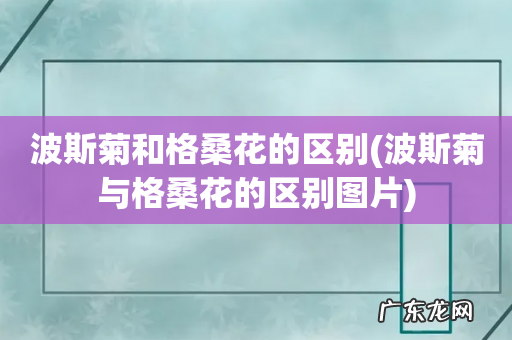 波斯菊与格桑花的区别图片 波斯菊和格桑花的区别