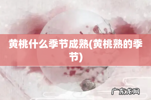 黄桃熟的季节 黄桃什么季节成熟