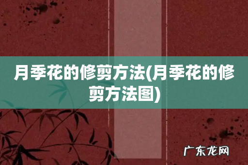 月季花的修剪方法图 月季花的修剪方法