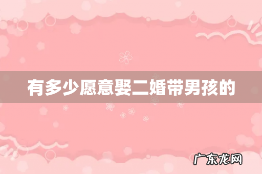 有多少愿意娶二婚带男孩的