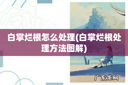 白掌烂根处理方法图解 白掌烂根怎么处理