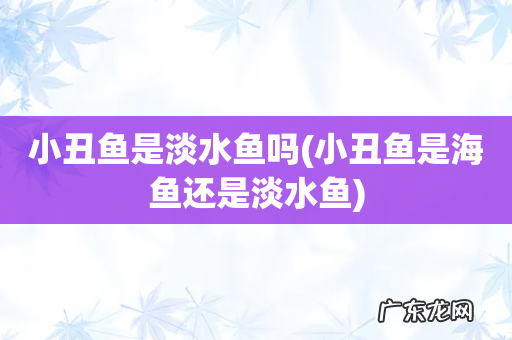 小丑鱼是海鱼还是淡水鱼 小丑鱼是淡水鱼吗