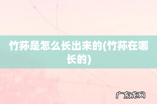 竹荪在哪长的 竹荪是怎么长出来的