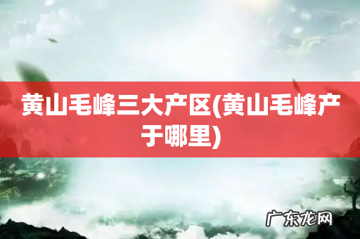 黄山毛峰产于哪里 黄山毛峰三大产区