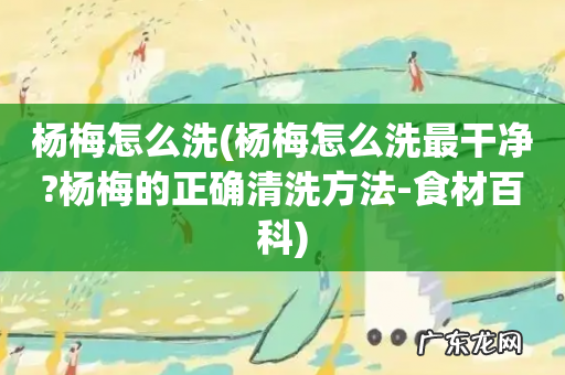 杨梅怎么洗最干净?杨梅的正确清洗方法-食材百科 杨梅怎么洗