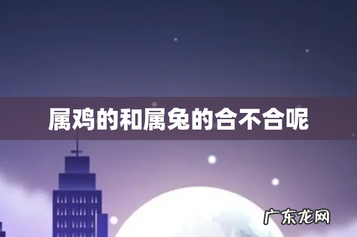 属鸡的和属兔的合不合呢